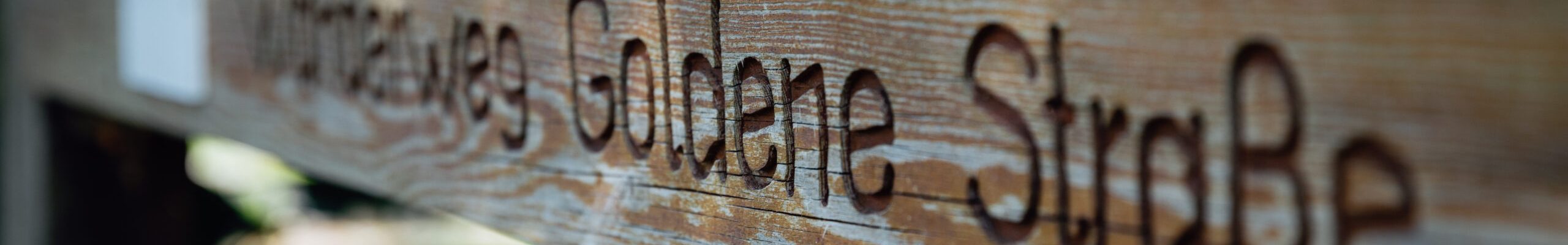 300dpi_mgo-media_1959